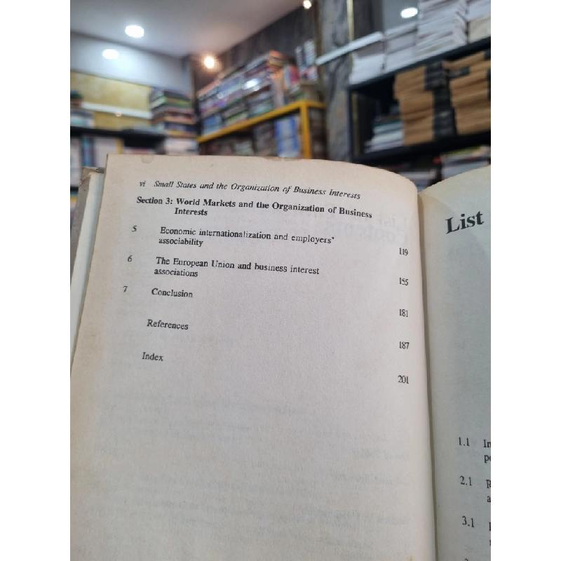 SMALL SATES, OPEN MARKETS AND THE ORGANIZATION OF BUSINESS INTERESTS - Mermot McCann 143568