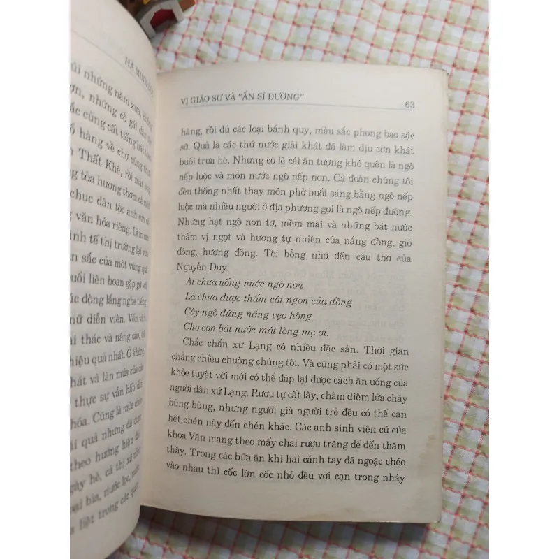VỊ GIÁO SƯ VÀ ẨN SĨ ĐƯỜNG • Bút ký của Giáo sư Hà Minh Đức • Bản in năm 1996 763829