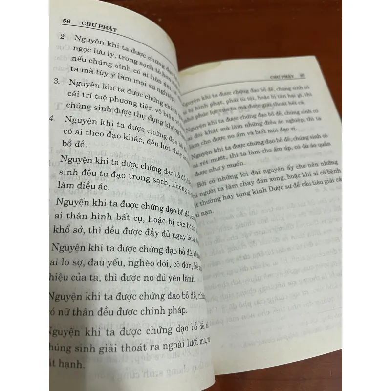 Phật lục Trần Trọng Kim 1005190