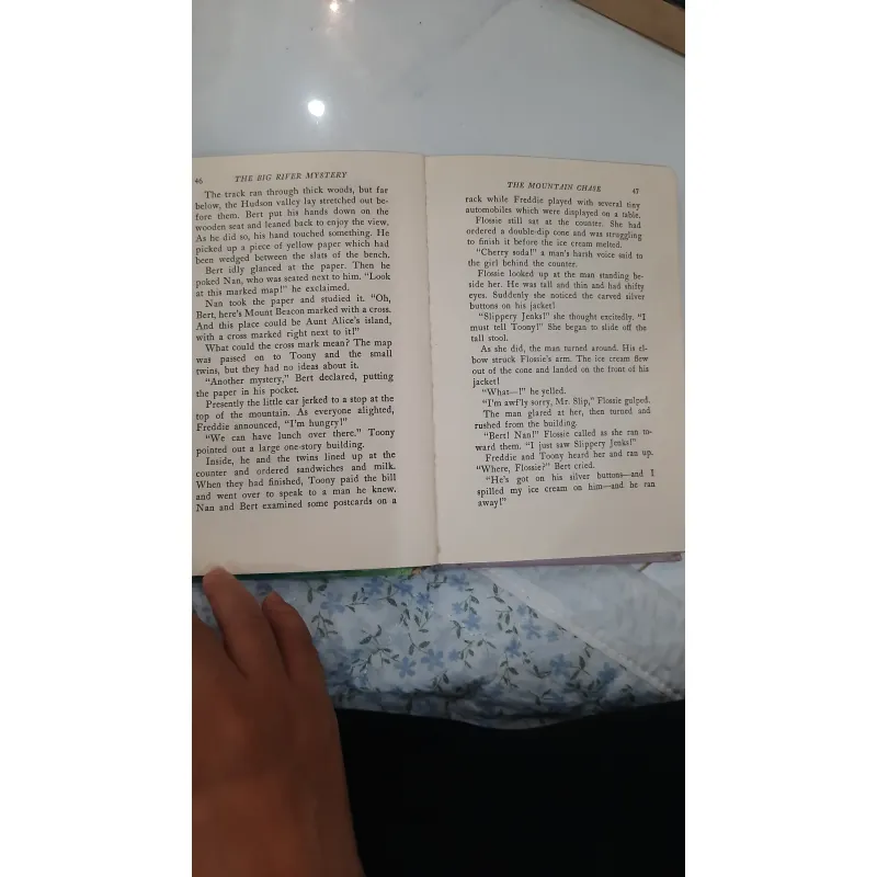 The bobbsey twins and the big rivers mystery 930936