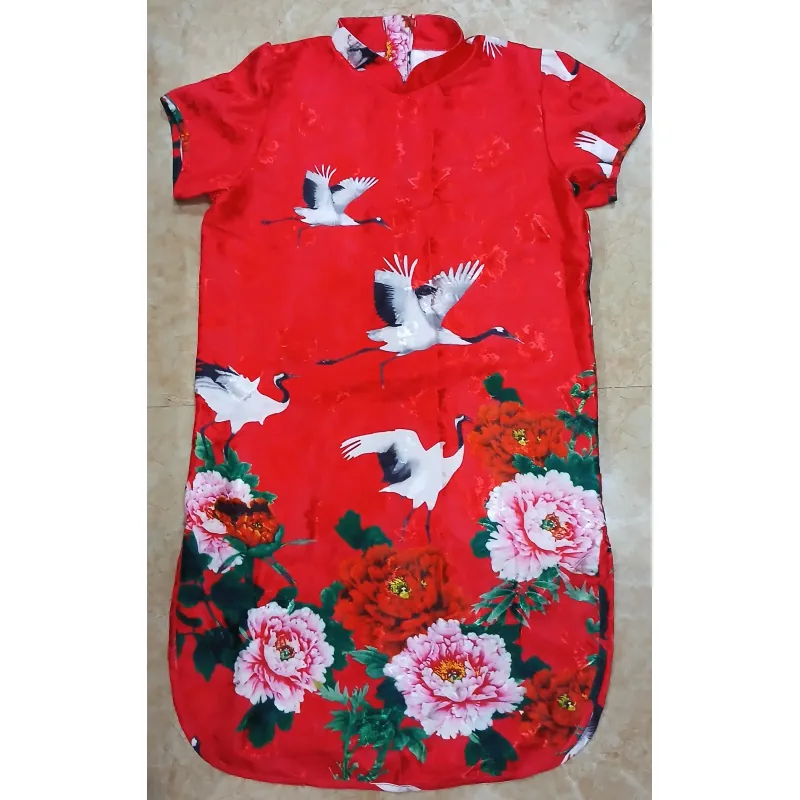 Áo dài cách tân 759223