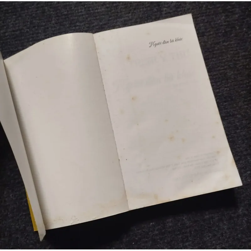 Người đàn bà khác- của tác giả Trịnh Y Thư, 1023102