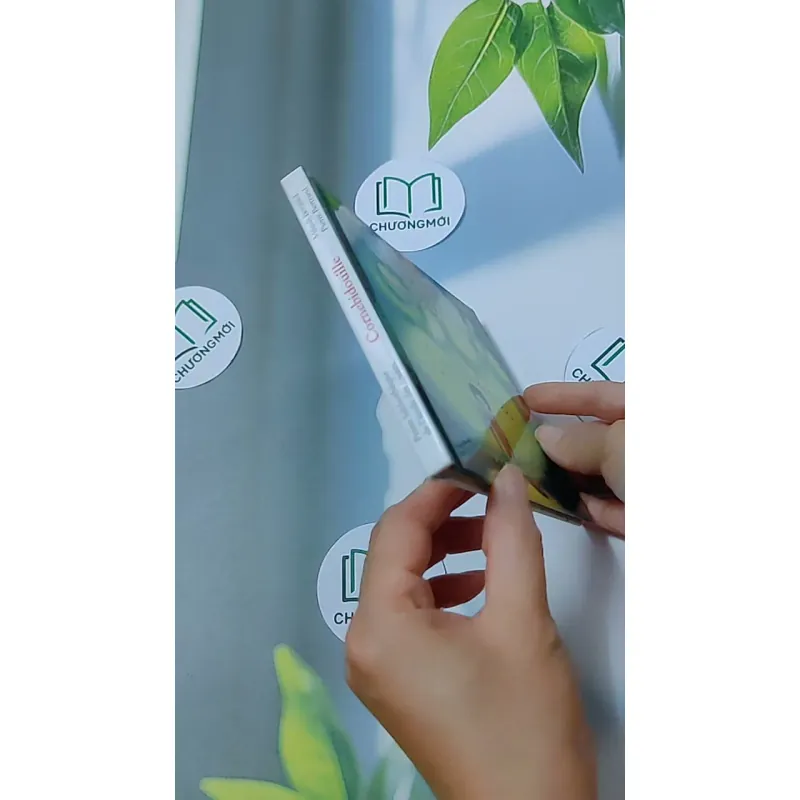 Cornebidouille - Pierre Bertrand & Magali Bonniol 634459