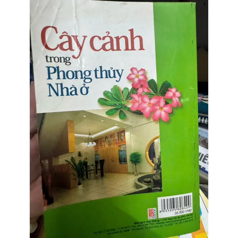 CÂY CẢNH TRONG PHONG THUỶ NHÀ Ở 1038424