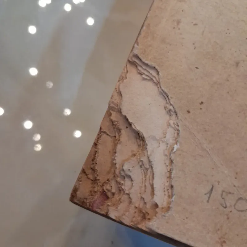 DANH TỪ THỰC VẬT PHÁP VIỆT 749070