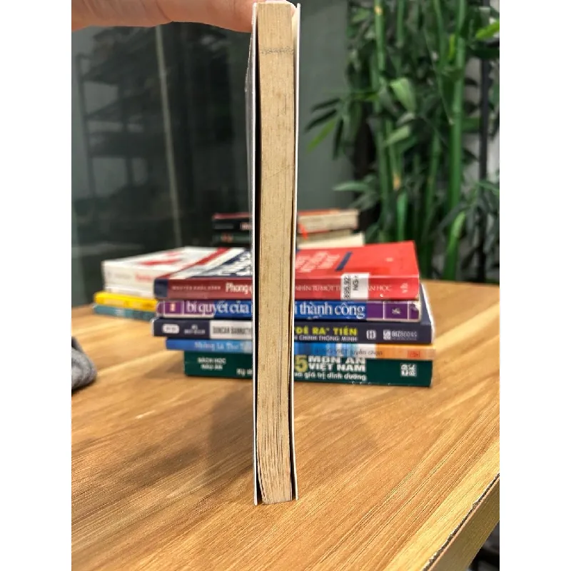 Giang hồ chỉ vừa đủ xài – Trang Hạ 571465