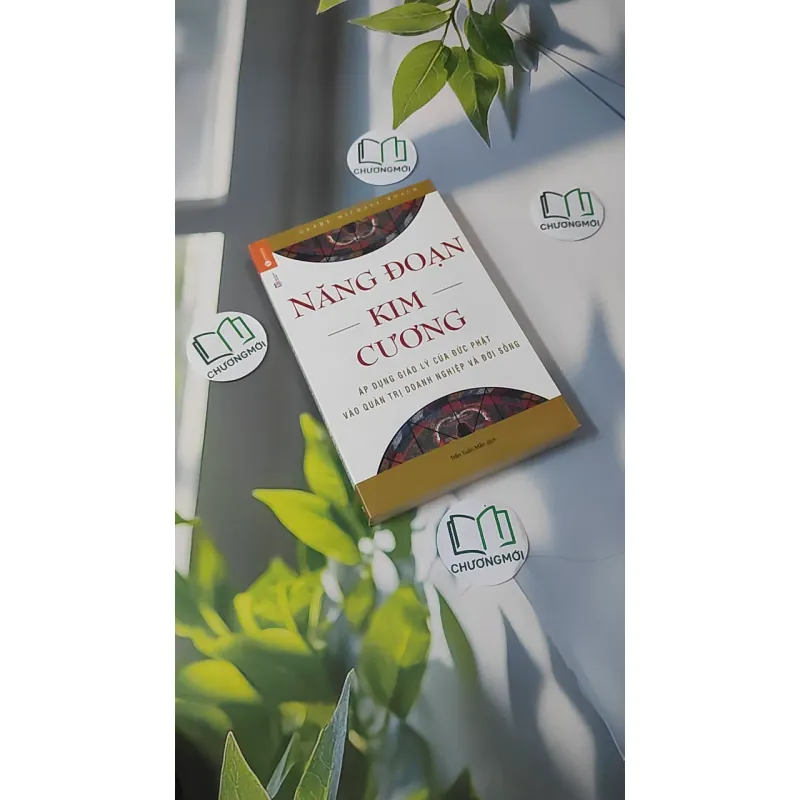 Năng Đoạn Kim Cương - Geshe Michael Roach 961153