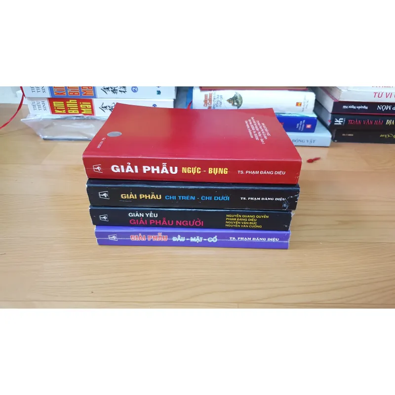 GIẢI PHẪU ĐẦU MẶT , NGỰC BỤNG, CHI TRÊN DƯỚI  760731