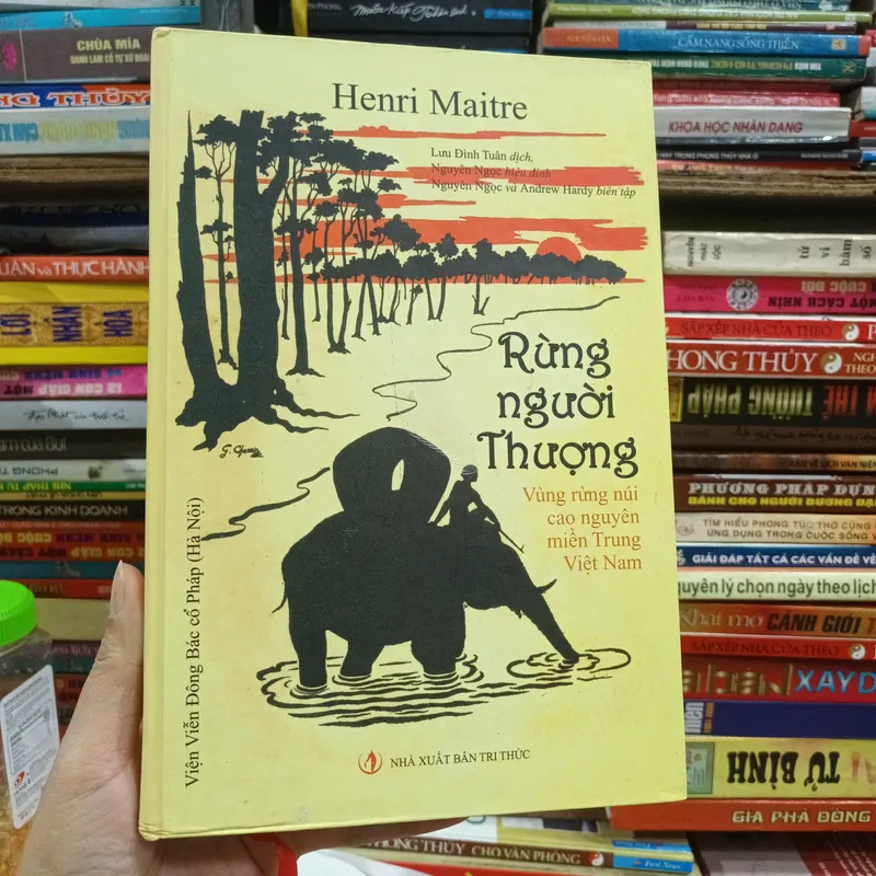 Rừng Người Thượng - Henri Maitre 632326