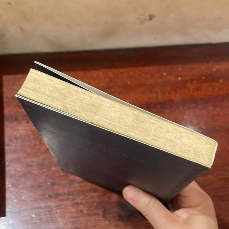 BIÊN NIÊN CÔ ĐƠN - nguyễn Ngọc Thạch  1029452