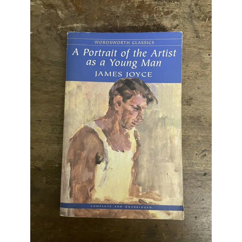 A Portrait of the Artist as a Young Man 796271