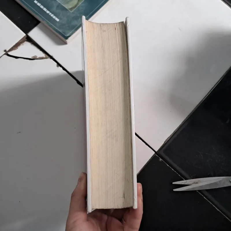 Văn hóa Việt Nam tìm tòi và suy nghĩ 1027932