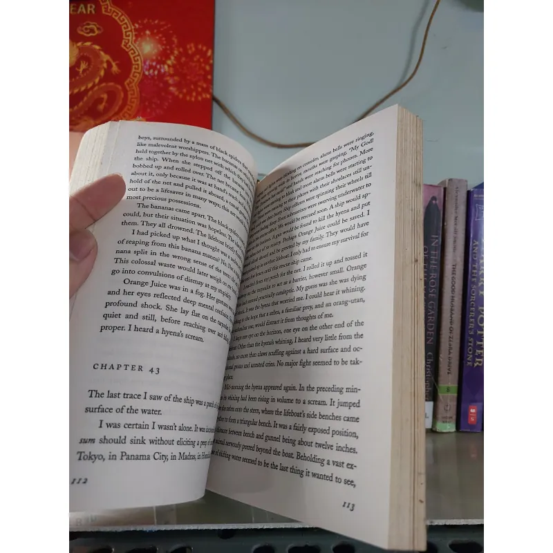 LIFE OF PI - CUỘC ĐỜI CỦA PI 931454