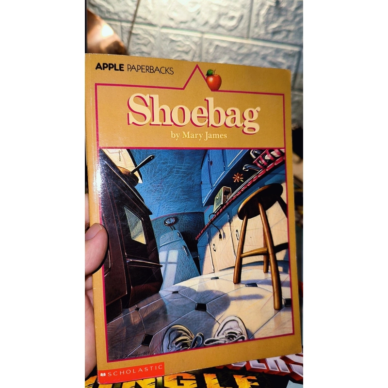 Ngoại văn vintage sưu tầm SHOEBAG 495532