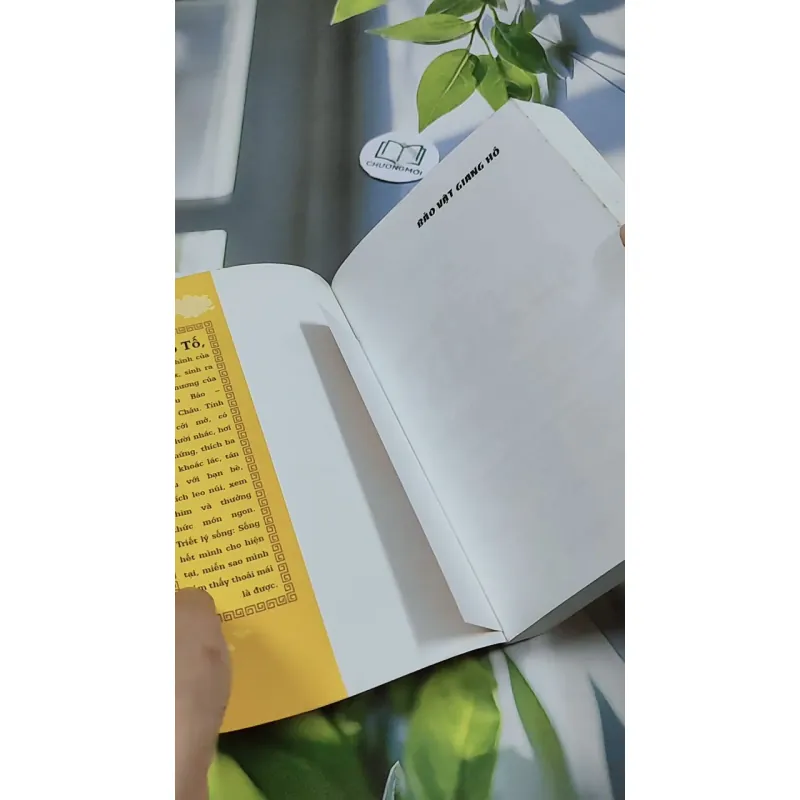 Bảo Vật Giang Hồ - Tô Tố 744769