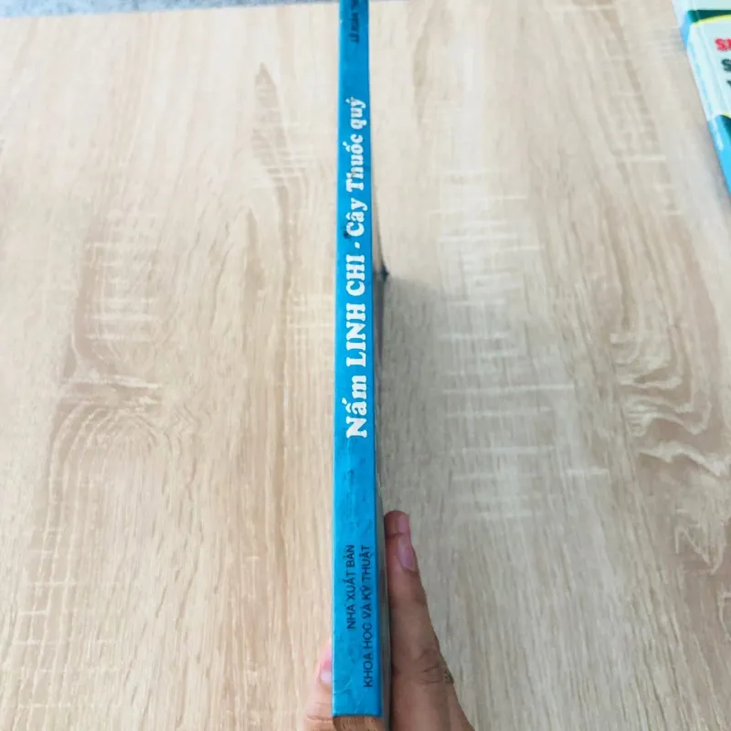 NẤM LINH CHI CÂY THUỐC QUÝ 974766