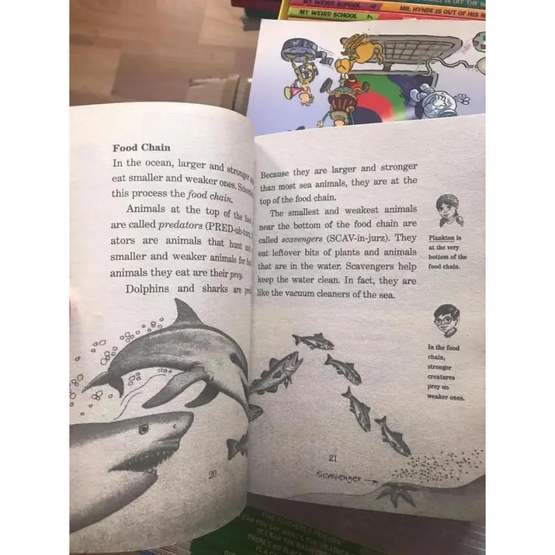 Magic treehouse Fact tracker  - 44 quyển 745161