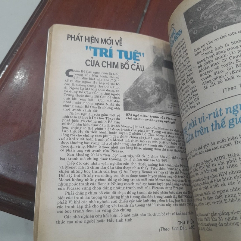 TRI THỨC TRẺ số 1 475132