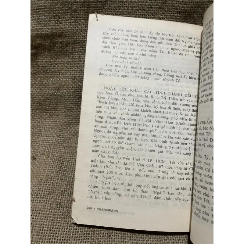 Phanxipang- cốt cách mùa xuân - phóng sự 933213