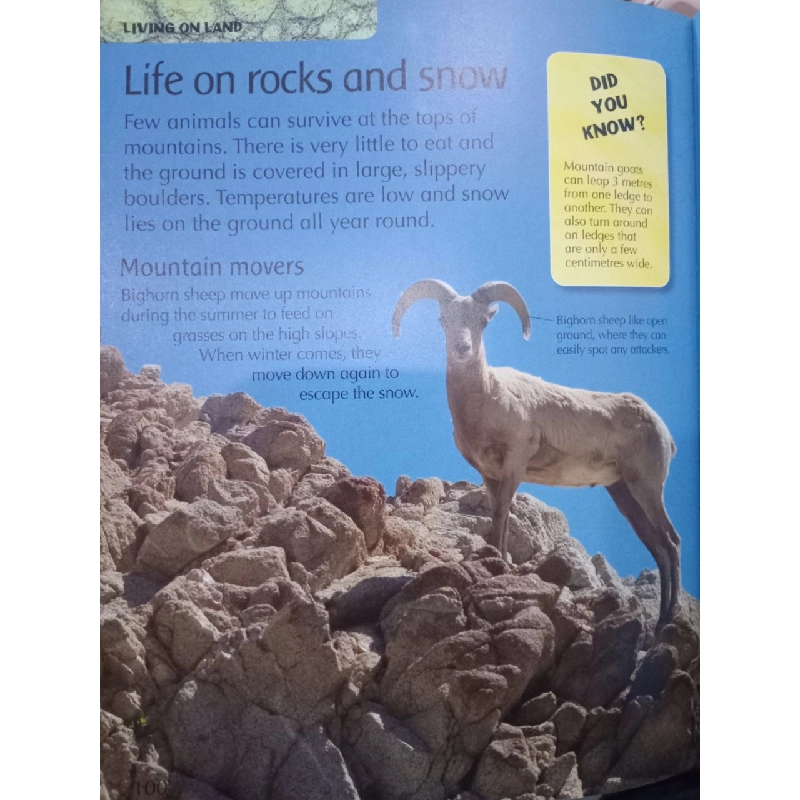 The Children's Encyclopedia of ANIMALS 550646