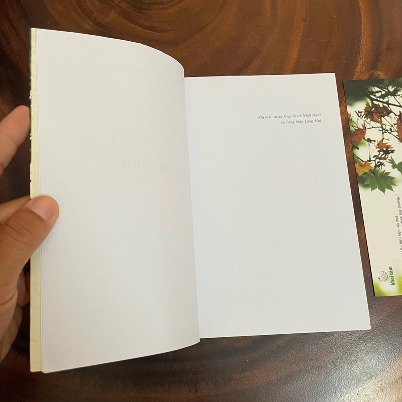 II Tựa sách: Thương - Nguyễn Bảo Trung - 2020 455231