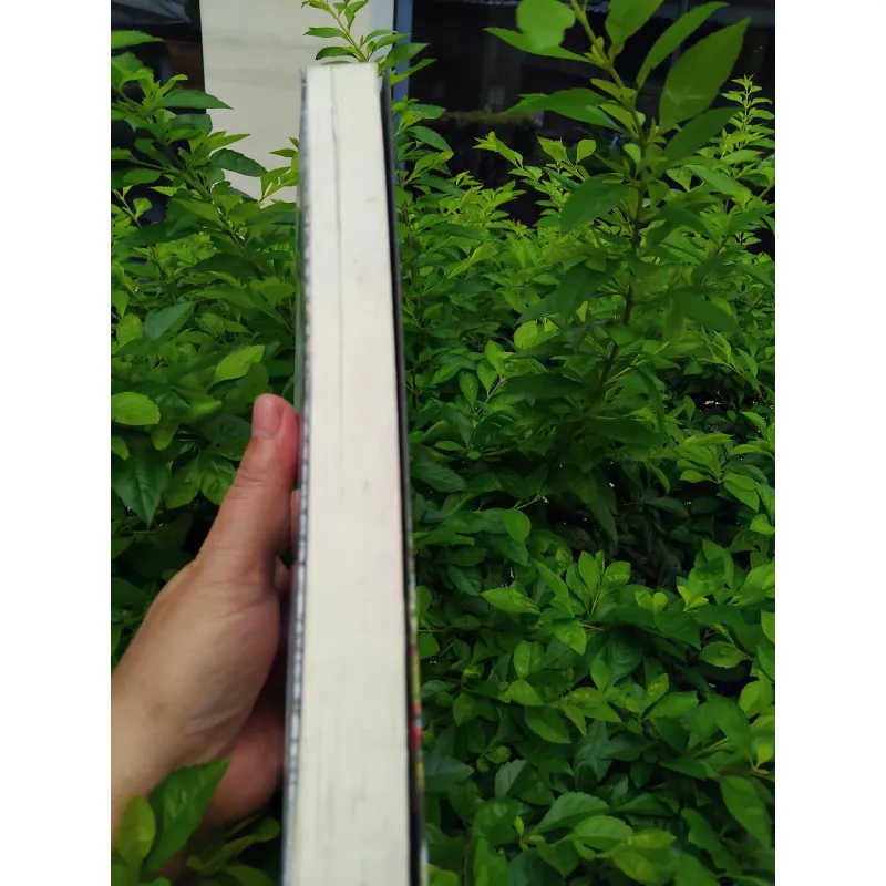 Bộ tột cùng hạnh phúc tiểu thuyết của Arundhati Roy 997359