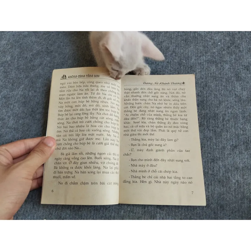 KHÔNG CÙNG TẦNG BAY - DƯƠNG NỮ KHÁNH THƯƠNG 567835