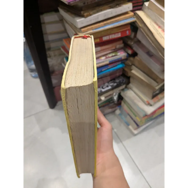 Tiếng chim hót trong bụi mận gai - Colin Maccalau 674752