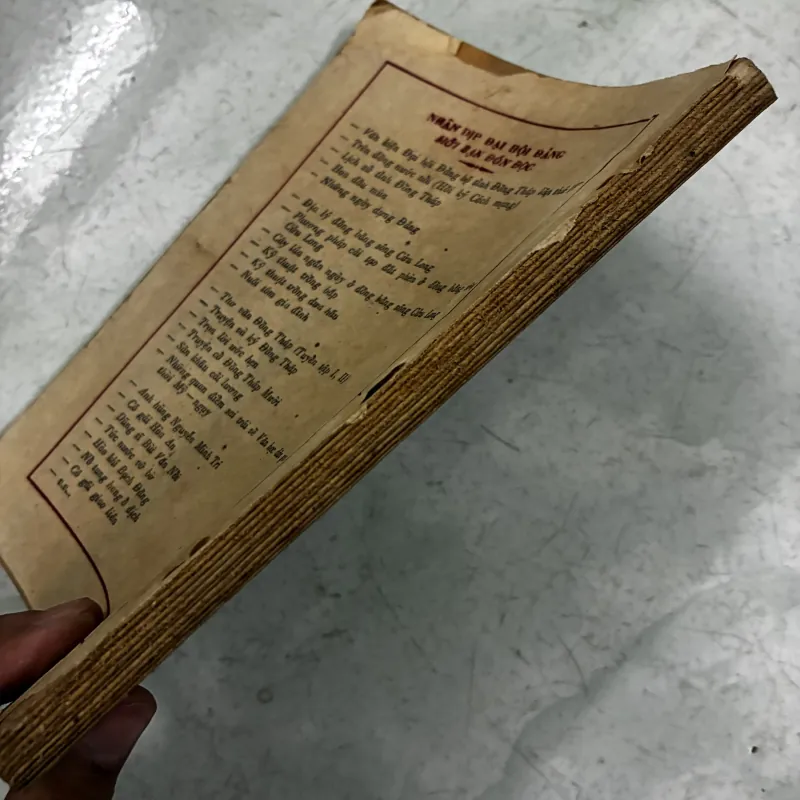 Theo dấu vết Ruồi trâu 1031536