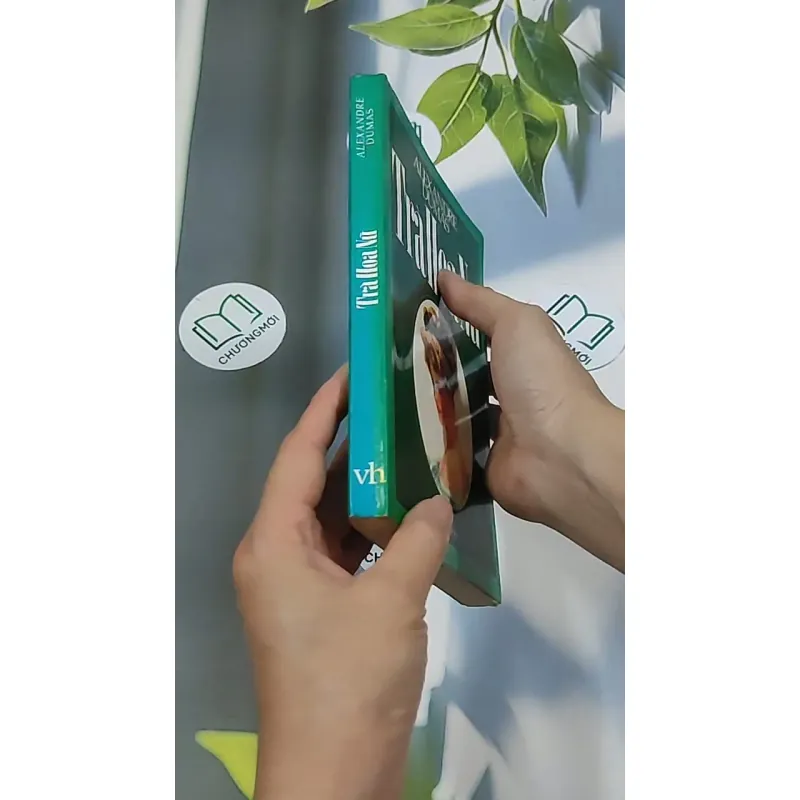 Trà Hoa Nữ 674981