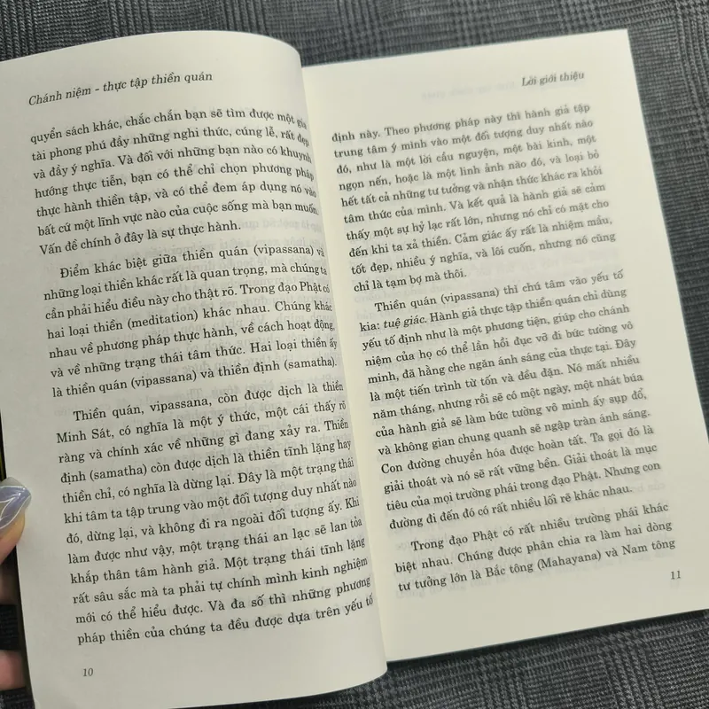 Chánh niệm - Thực tập Thiền quán - TT. Henepola Gunaratana - Dịch giả Nguyễn Duy Nhiên 606547