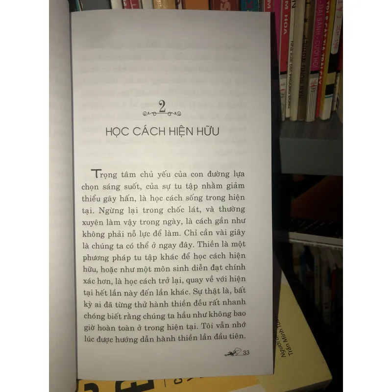 Cú nhảy - Thoát khỏi thói quen và nỗi sợ hãi - Pema Chodron  695623