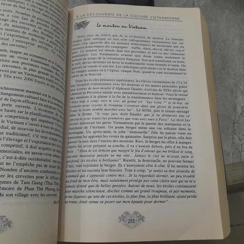 À LA DÉCOUVERTE DE LA CULTURE VIETNAMIENNE - HỮU NGỌC 463488