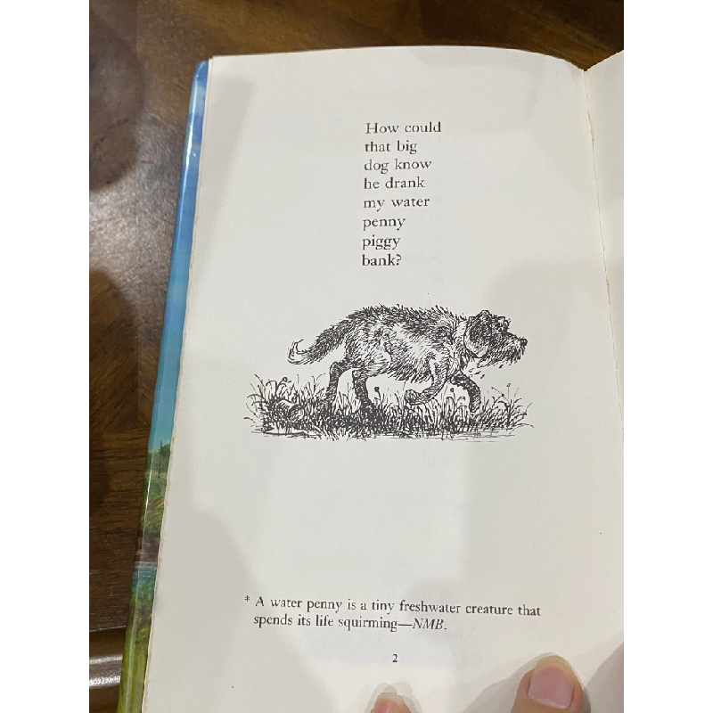 Water Pennies and Other Poems - N. M. Bodecker 505390