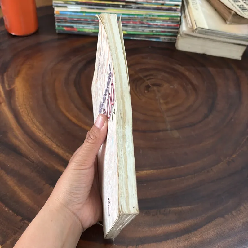 II Văn Học: Những Trang Sách Khép Mở (Quyển 2) - Trần Áng Sơn - 2002 999231