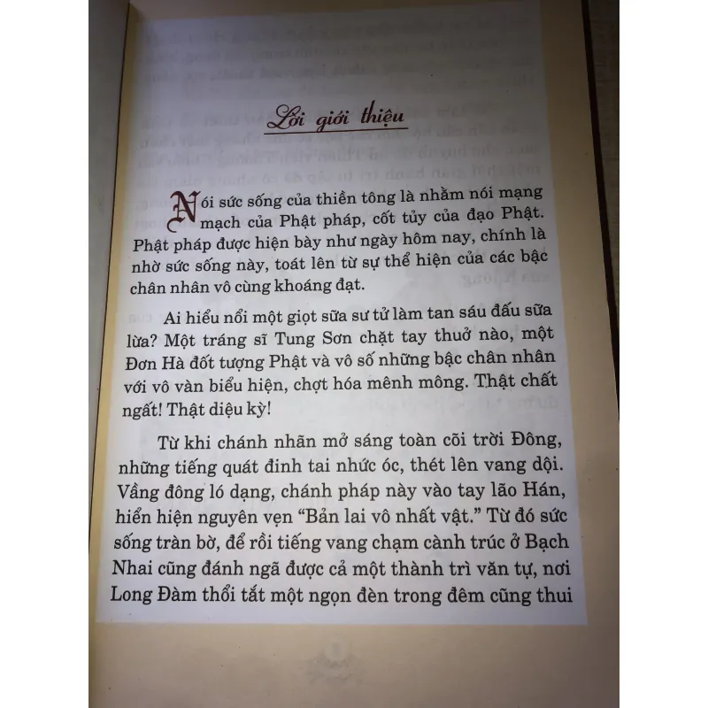 Sức Sống Thiền Môn 970649