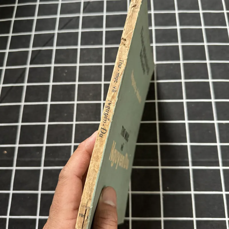 Thư mục về Nguyễn du 570951