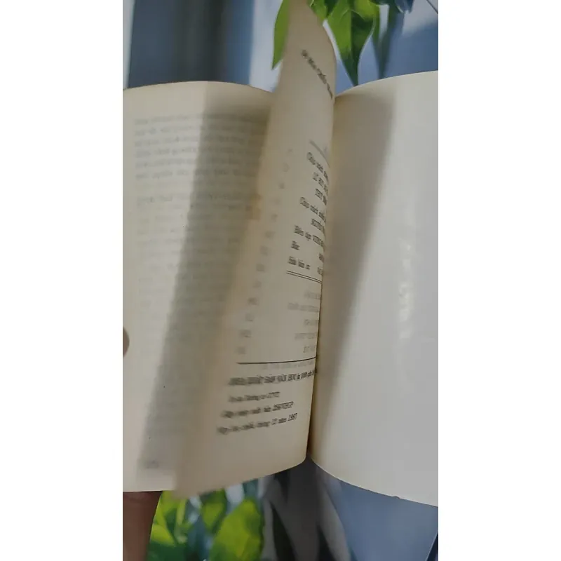 [MIỄN PHÍ BỌC SÁCH] [XƯA] Di Họa Chiến Tranh (1997) - Minh Chuyên 798517