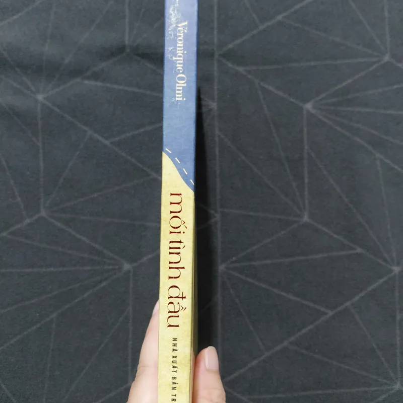"Mối tình đầu" - Veronique Olmi 1026587