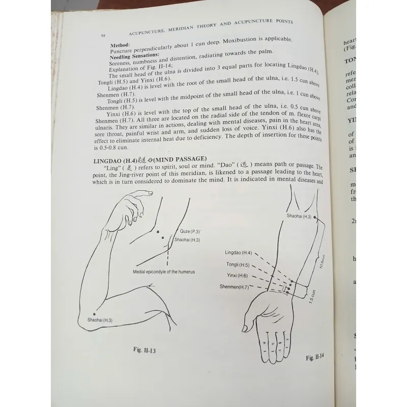 ACUPUNCTURE MERIDIAN THEORY AND ACUPUNCTURE POINTS 557378