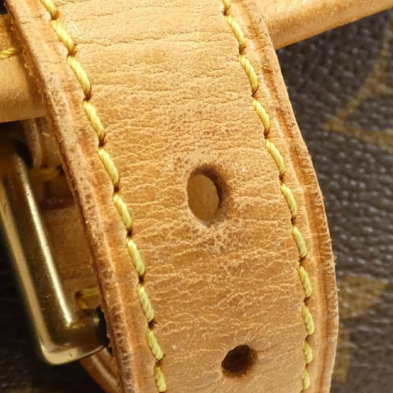 Túi xách vai Louis Vuitton Monogram Salony M42250 613331