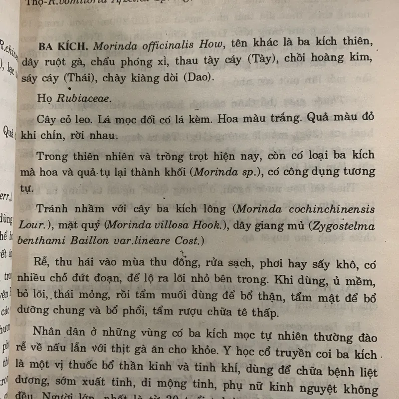Thuốc từ cây cỏ và động vật, Đỗ Huy Bích 626711