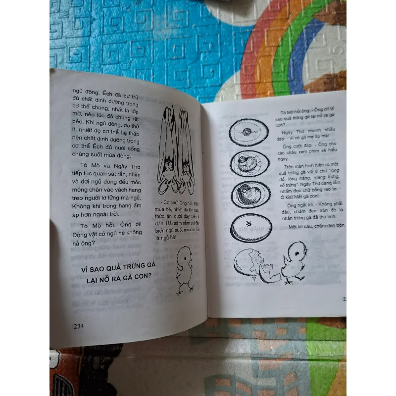 Ông Ơi Vì Sao Lại Thế 942823