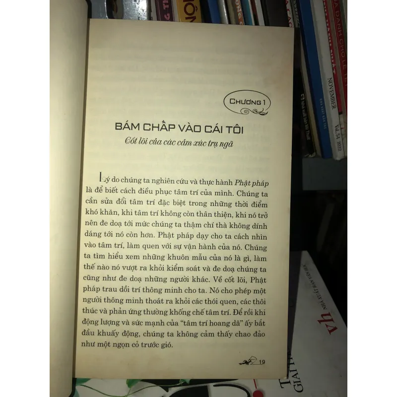 Linh quang hé lộ - Dzigar Kongtrul 728211