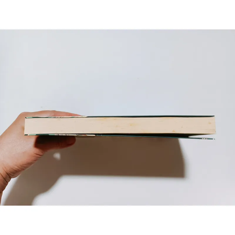 Trăng Cười – Tuyển Tập Truyện Ngắn Hiện Đại Nhật Bản

 716578