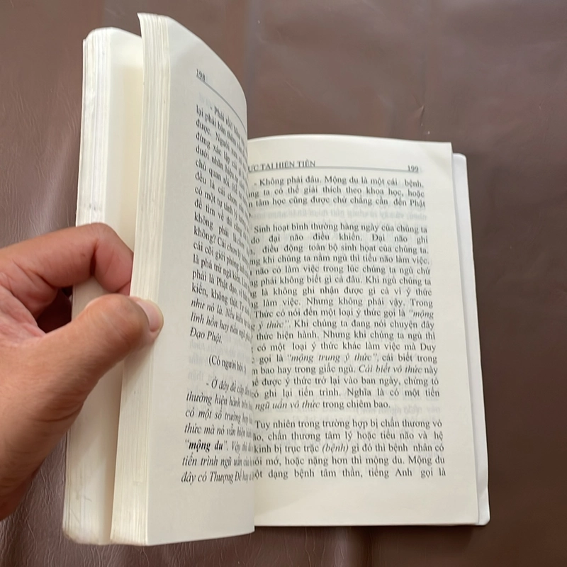 II Tựa sách: Thực Tại Hiện Tiền - Viên Minh 523418