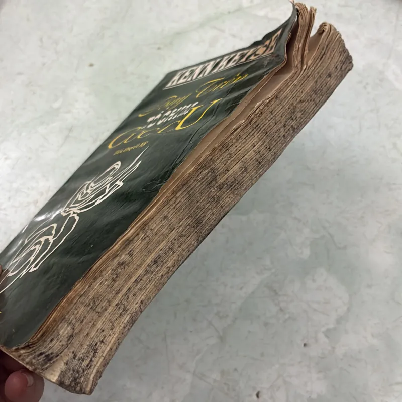 Bay trên tổ chim Cúc Cu - Kenn Keyse - 1997s 1019255