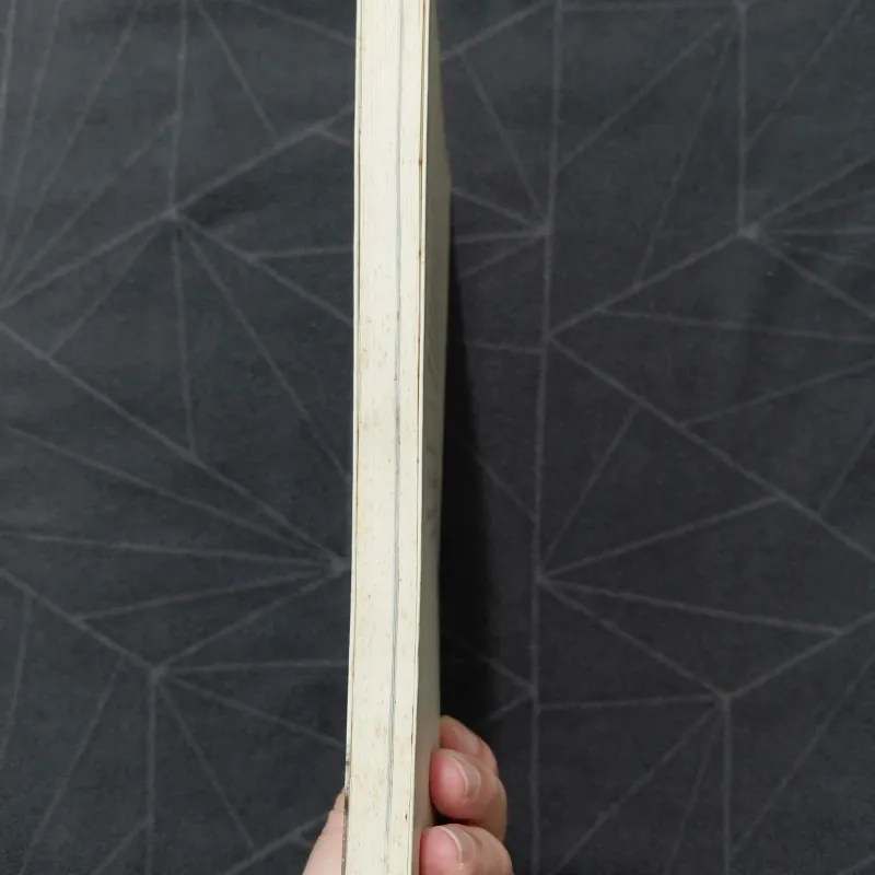 "Quá trẻ để chết: Hành trình nước Mỹ" - Đinh Hằng 1019926