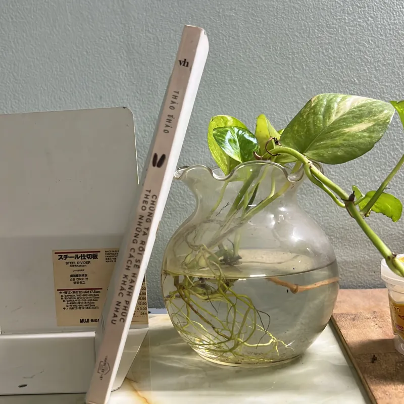 Chúng ta rồi sẽ hạnh phúc theo những cách khác nhau 763035