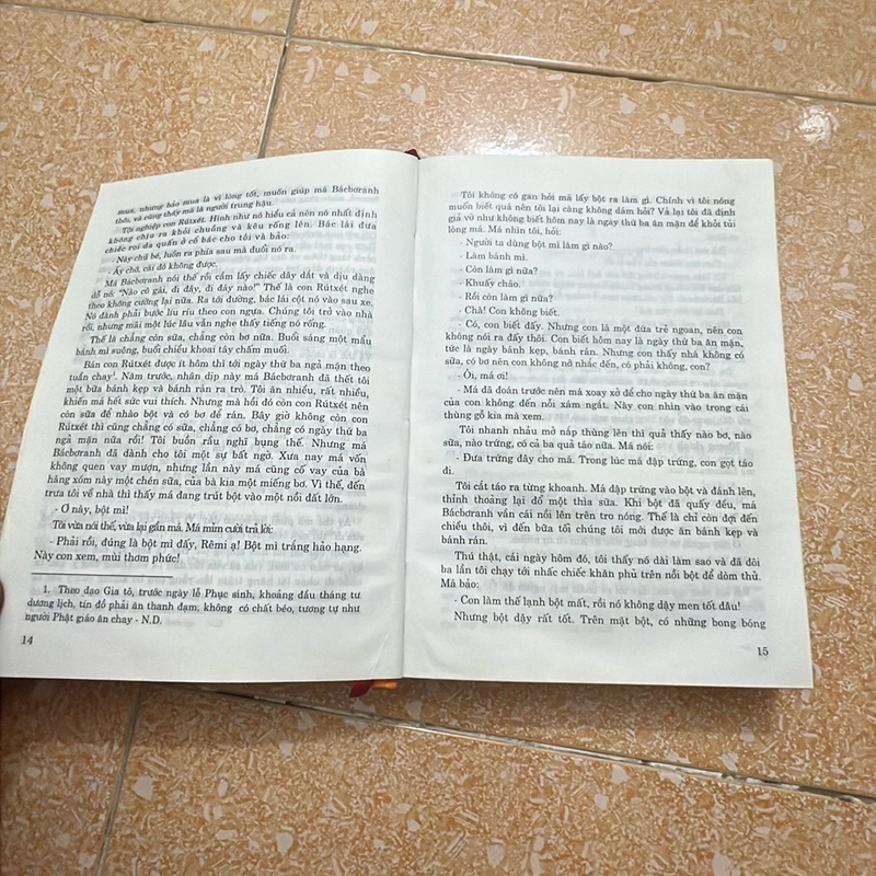 Không gia đình - Hector Malot 447319